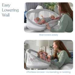 BassiNest Swivel Sleeper 3.0