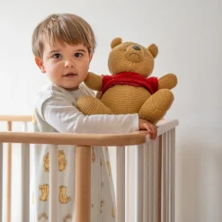 Disney Winnie the Pooh Bundle