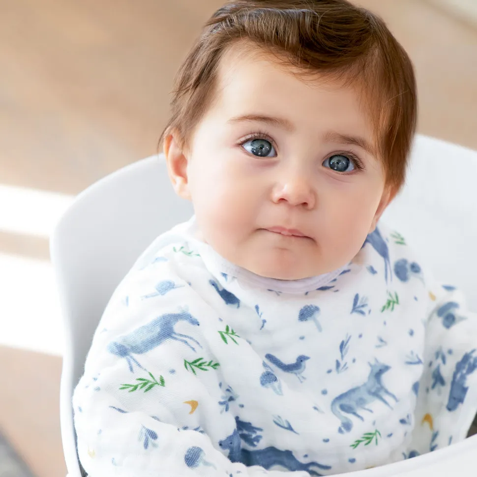 organic cotton muslin burpy bibs 2 pack